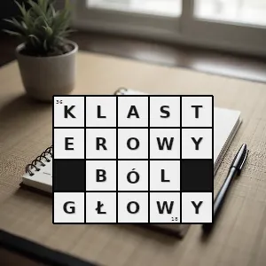 Hasło krzyżówkowe klasterowy - klasterowy ból głowy – rozwiązanie, synonimy, podpowiedzi i definicje krzyżówkowe